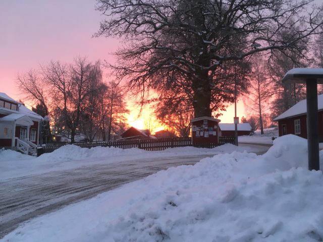 Vilken härlig vinter vi har haft!